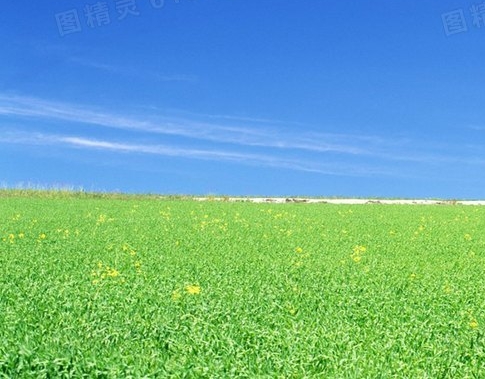 自渡创意字体设计