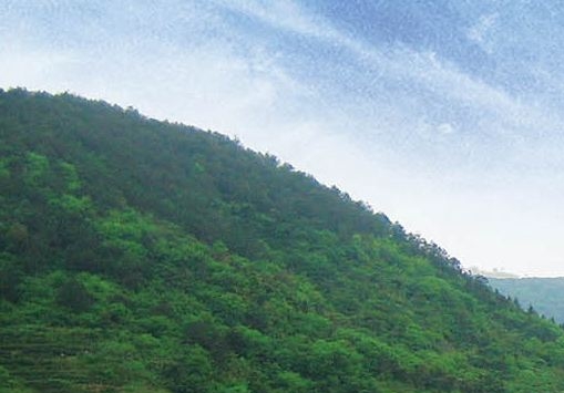 保定电商直播招聘运营：招聘广告词，寻找专业电商直播人才