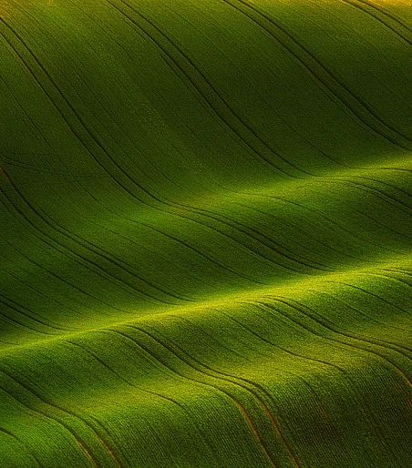 白事随礼有随1000的吗