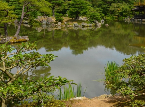 秀米背景格子底纹