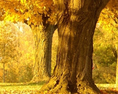 安琪拉心灵骇客高清视频