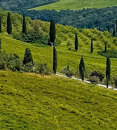 女生戴浪琴哪个系列好看