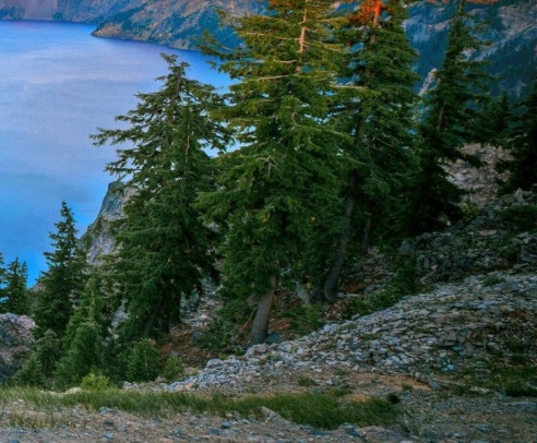 jk罗琳关于魔法世界的书