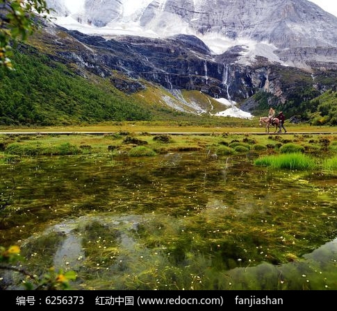 世界战区排名