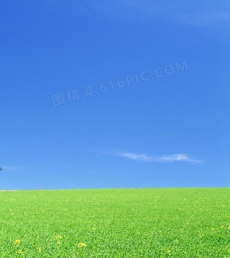 底纹背景1怎么设置