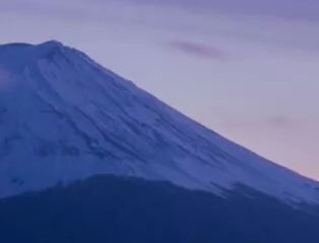 芳村花卉世界