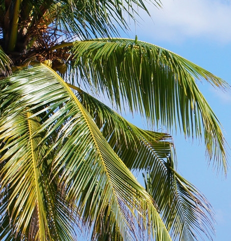 心灵心灵手巧的意思