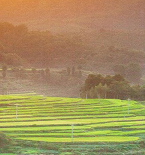 韩国真人漫画职场上司