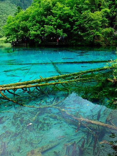 世界最浪漫的国家和地区是