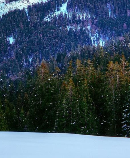 电商运营计划怎么写