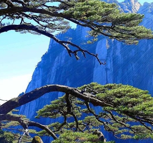 科技布价格