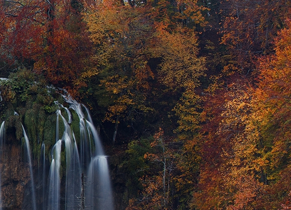 多种场景适用-职场、育儿、医院假条模板供应