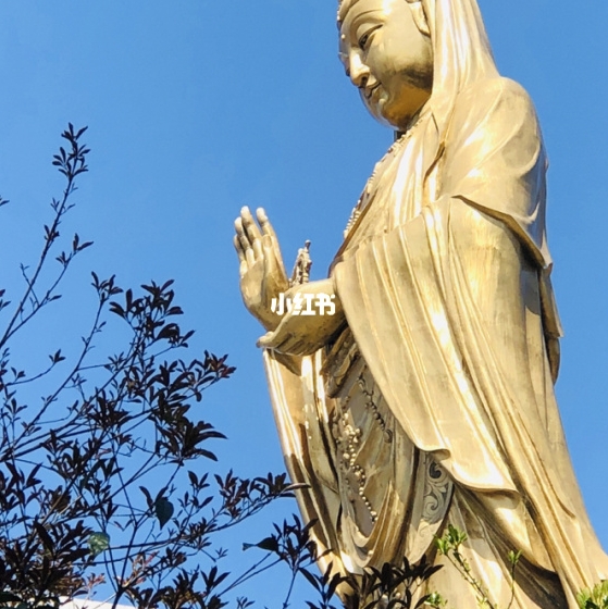 平精英科技