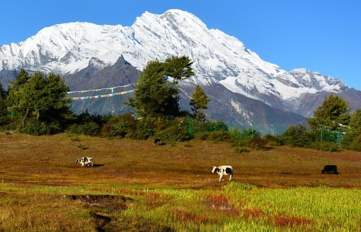 世界公元二期楼盘