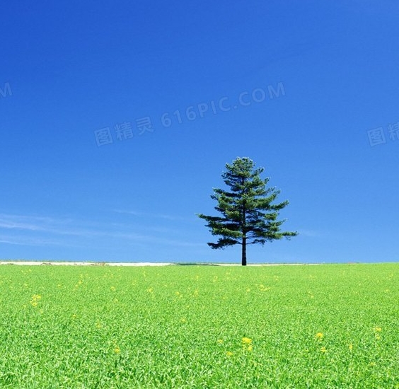 长安科技感十足的车