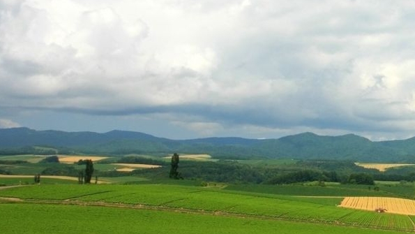 台球室壁画