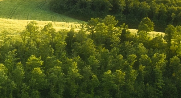 心灵读白的意思