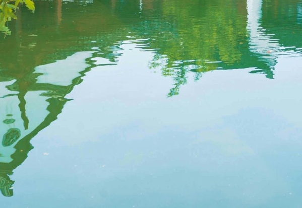 创意水果海报图片