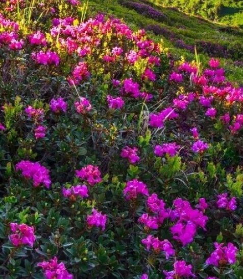 旷野世界观是什么意思