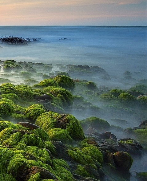 纳米胶神奇玩法