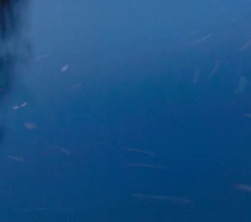 科技美学评测官网