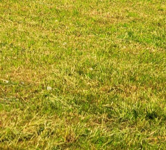 我想世界呼叫amani