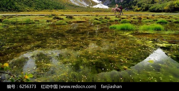 科技属图书馆馆长