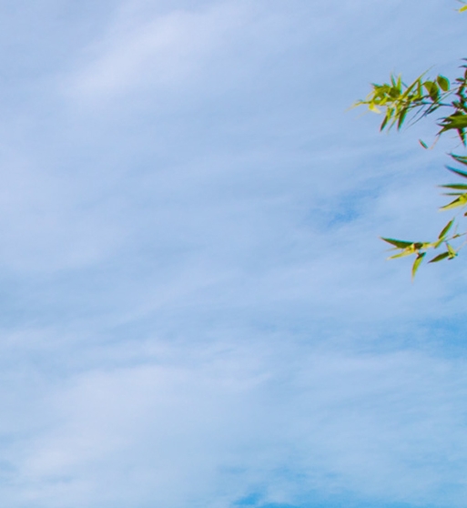 我的世界石头的世界2末地