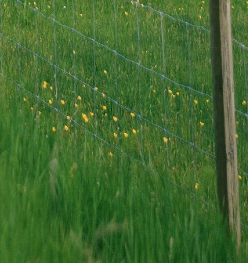 北京哪个奥莱童鞋多