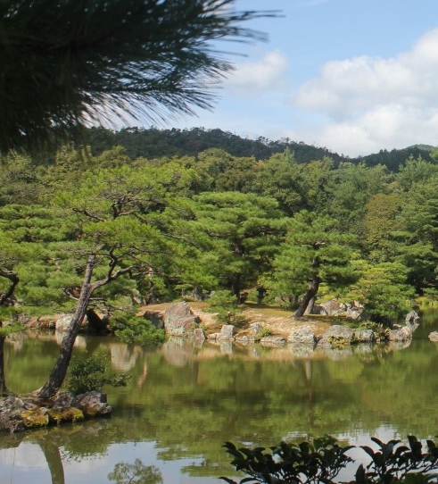 接口测试可以测试哪些范围