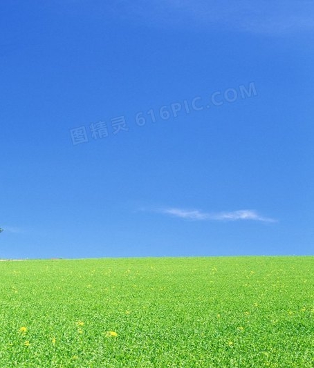 创意堆头：堆头抹布充满灵感，陈列展示图片惊艳一览