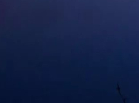 创意海洋树叶贴画作品及创意说明