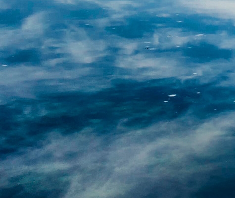 兔子手机壁纸高清