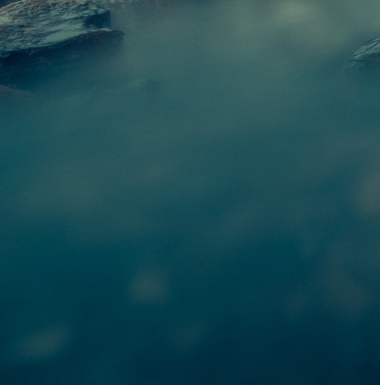 世界多极化对世界历史发展的影响