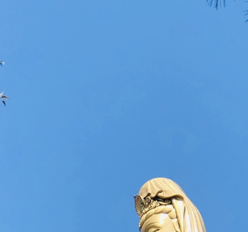 人在恐怖世界道术驱魔