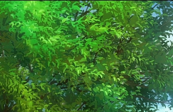唯美心脏图片大全，描绘心灵的绚烂与美丽