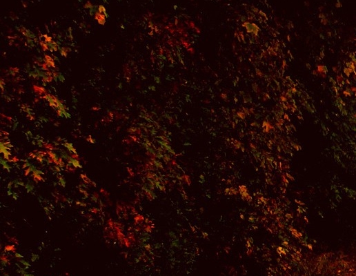 星空画的创意说明
