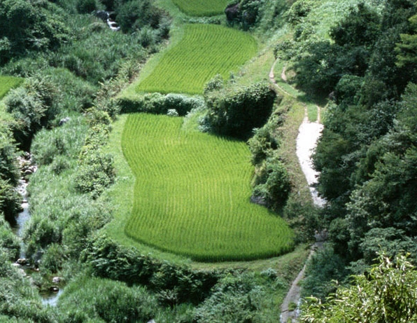 迷你小手工