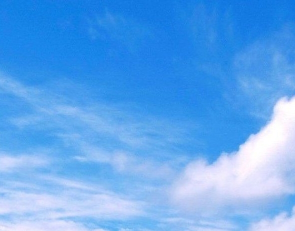 维护职场秩序