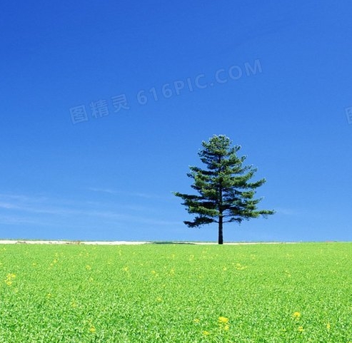 中学生举办我添光彩活动，为世界添光彩