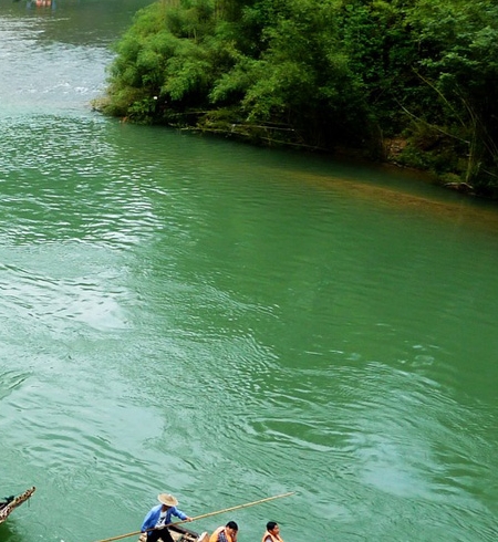 忍者新世界阵容