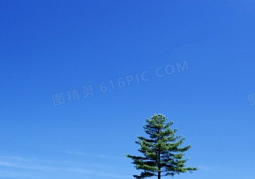 拿奶瓶的情侣头像