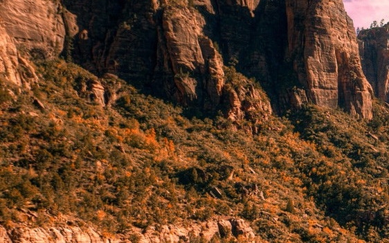 青少年心灵成长导师