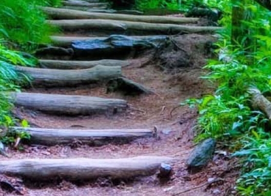 三款闹鬼游戏：探秘不一样的鬼怪世界，体验学校和公寓楼的惊悚之旅！