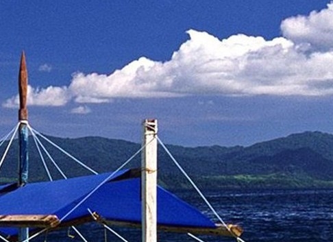 沪杏科技图书馆馆长