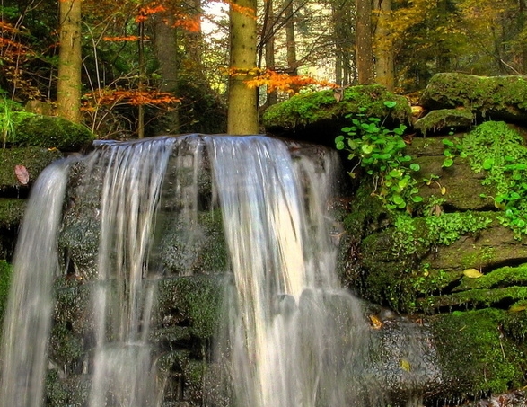 韩国跨境电商选品