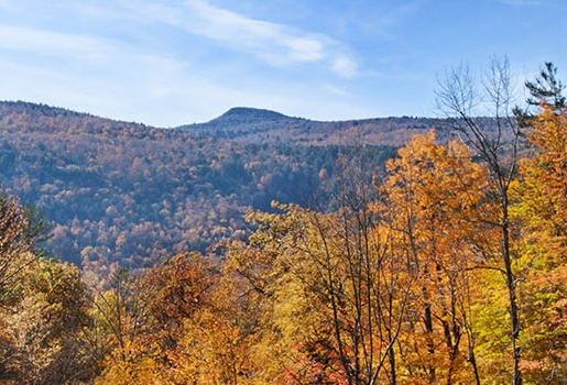 忍者新世界手游攻略