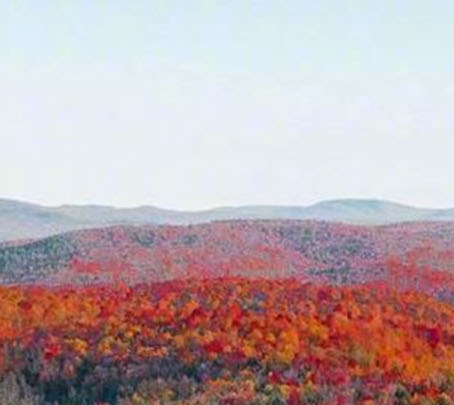 征文绘画手抄报