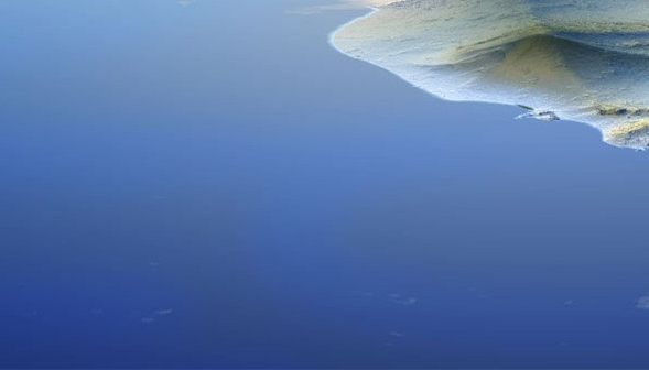 大家都在讨论的言茶创意跟纤茶创意海报