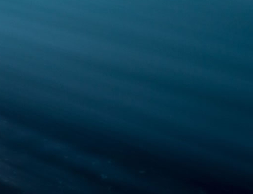 槟湾科技